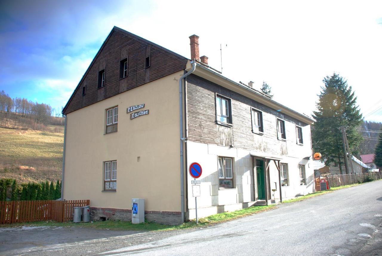 Penzion Hajenka Petrovice  Exteriör bild