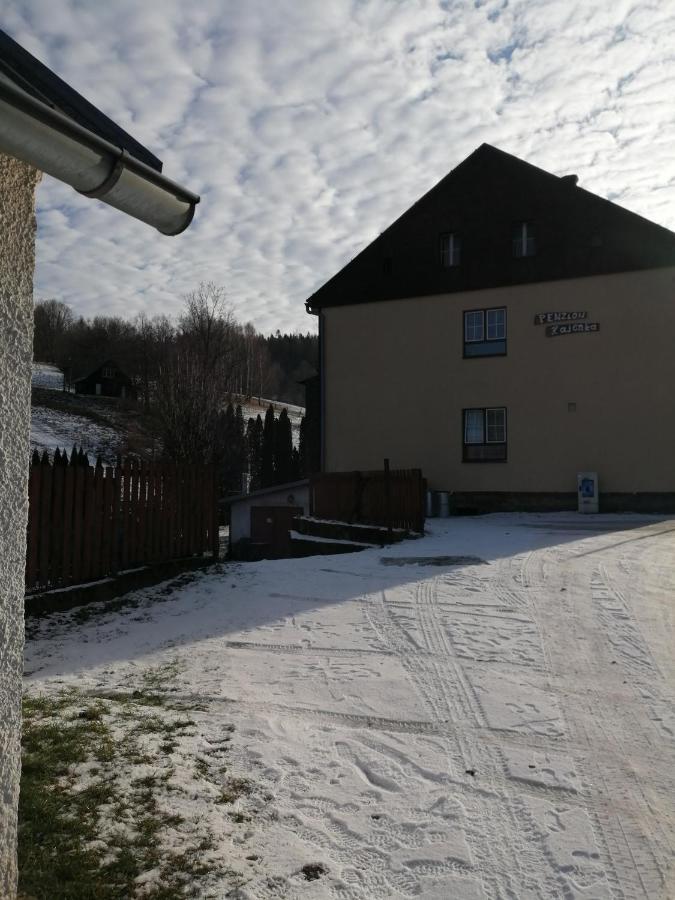 Penzion Hajenka Petrovice  Exteriör bild